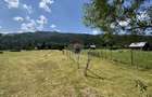 De vanzare | Teren intravilan 2802mp | Sabasa | Borca | Neamt
