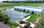 Teren extravilan 14.000 mp, Drâmbar – Ciugud | solarii, fotovoltaice - 2
