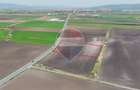Comision 0% | Teren extravilan arabil 10.000 mp | Feldioara - 1