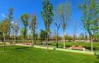 Apartament ideal, 4 camere si terasa impresionanta-Rond Metro Berceni - 14