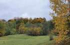 Puciosa Moreni Valea Lunga Sat Izvoru 20000mp teren de vanzare - 5