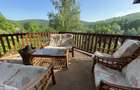 Cabana/Vila de inchiriat Valea Budului, Margineni - 4