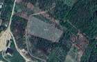 Teren intravilan de vanzare – 9.091 mp | Front 77 ml | Acces din Gh. Doja - 1