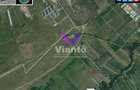 Teren extravilan 1500 mp Selimbar-langa troita - 8