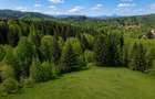 Bran Mountain Retreat – Doar 3 vile exclusiviste în inima Branului - 3