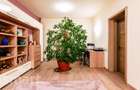 Casa individuala de vanzare in Faget 360mp cu teren de 1100 mp - 13