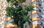 Garsoniera-Etajul 1/10-Bloc Stradal/anvelopat- Petre Ispirescu/Calea Rahovei - 1