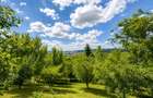 Proprietate deosebita, pe domeniu de 2.300 mp, panorama, Subpadure, Targu Mures: - 16