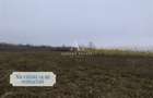 Antony Estate | Vanzare Teren Intravilan,40 euro/mp,Paleu,Oradea - 7