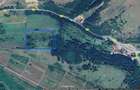 1,5ha Teren intravilan Feredeu Arad - 1