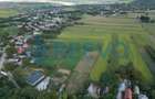 Teren intravilan 4.000 mp Blăgești, Bacău - 3
