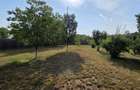 Ciopani vila 5 camere teren 4000 mp - 37