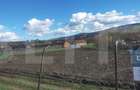 Teren intravilan in Baciu - parcele de 1200 mp construibile - 2