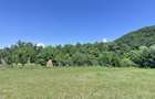 Investiție Turism | Casă | 5164 mp teren | Lac Propriu | Malu cu Flori - 19