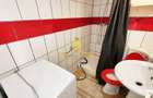 1 camera, loft, modern, proaspat renovat, curte, Grigorescu, Donath - 7