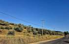 Teren de 27660 mp in Letcani - 3