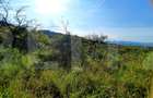Teren cu panorama deosebita, suprafata de 3300mp, zona Wonderland