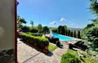 Vila de lux 310 mp construiti, cu piscina 40mp, Bucium Iasi, 1500mp teren, garaj foisor livada - 45