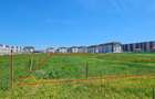 TEREN CHIAJNA - DEZVOLTARE IMOBILIARA - DIRECT PROPRIETAR - 6