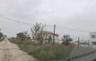 Teren de vanzare Palazu Mare - 6