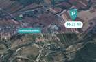 Teren extravilan 95.23 ha lângă Caransebeș - 8