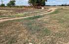 De vanzare teren, intravilan 4000 mp, deschidere 150 m, Fundulea - 3