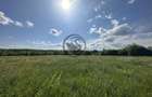 Teren intravilan de vanzare | 11.000 mp | Ghirdoveni | Comision 0% - 8