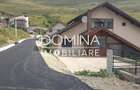 Vanzare proprietate mobilata si utilata, situata in statiunea montana Ranca - 2