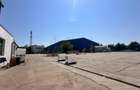 REC3001857 Complex comercial Hala si Birouri de vanzare l Ovidiu - 9