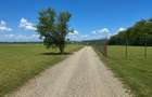 Vanzare Teren intravilan 1.525 | Bălteni – Scroviștea, Ilfov