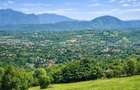 3.000mp de incantare montana cu cabana din lemn masiv, Zarnesti Tohanita - 5
