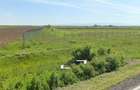Vindem 10 Ha teren,fosta livadă de afine,Sintea Mare,Arad Oportunitate Unica - 1