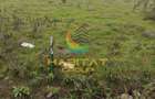 Teren intravilan in rate / 409 mp / com. Berceni - Vidra - 3