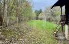 Teren intravilan de vanzare, 960 mp, zona Geoagiu-Băi - 2