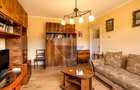 Apartament cu 3 camere de vanzare in Grigorescu - 5
