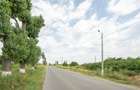 Teren de 30.000 mp în Cernica – pentru Dezvoltare Rezidențială sau Industriala - 18
