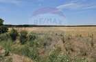 Vanzare Teren Intravilan Buftea, 750mp, str. Ulmului, Pista Biciclete - 3