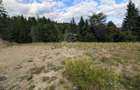 Parcele teren intravilan cu utilitati-panoramic-Colibita - 3