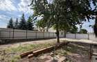 Casă de renovat cu teren 557 mp, central Str. Gh. Barițiu - Carei - 5