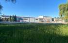 Hala cu dotari, afacere cu clienti, birouri-vestiare, teren, E60, langa Oradea - 1