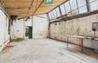 Spațiu de investiții 500 mp în Periam - 7