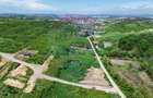 Teren intravilan de vânzare – 4.000 mp, Vișan - 3