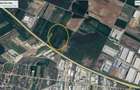 Teren intravilan Dragomiresti Deal A1 Bucuresti - Pitesti KM 14 - 1