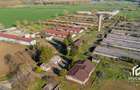 De vanzare Complex Zootehnic Suine Jud. Arad SU 15.30ha, Ferma, Grajd - 6