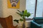 REA1028733 Apartament 2 camere l Parc Bazilescu l Complet Renovat - 4