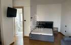 Apartament cu 1 camera de inchiriat, Complex Studentesc, Timisoara - 2