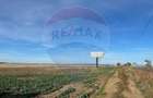 Teren extravilan de vanzare 17500 mp, deschidere 27m la DN1,  Ploiesti - 5