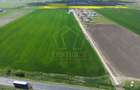 COM 0% Teren industrial pentru hale, servicii | DN69 Sanandrei - 4