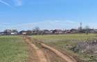 Vanzare | Teren Intravilan 10.759 mp | Str. Viitorului | - 2