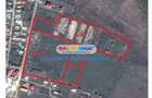 Teren 49.000 mp Balaceanca - Cernica - 2